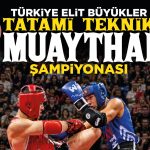 tatami-teknik-elite-2026